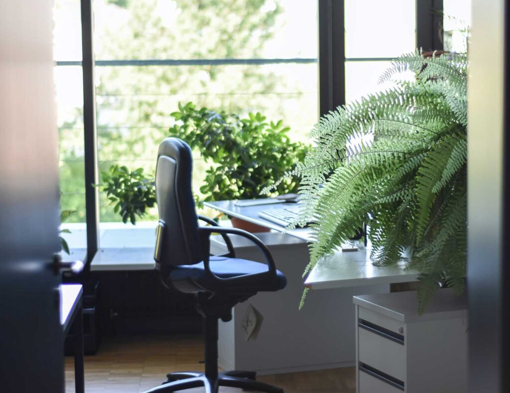Decorar despachos con plantas
